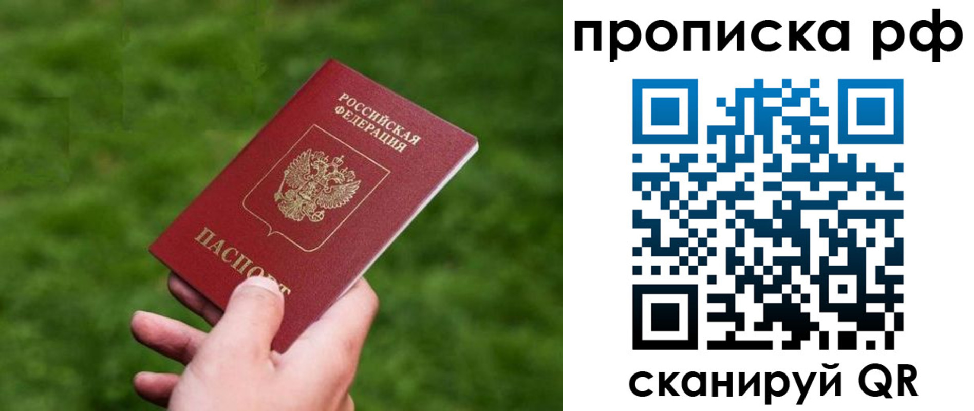 прописка поиск в Фрязино